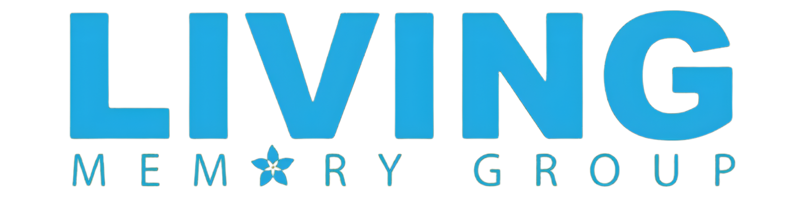 Living Memory Group